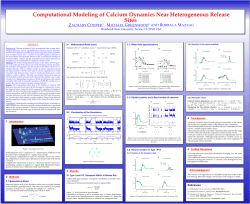 Computational Modeling of Calcium Dynamics Near Heterogeneous