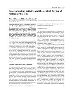 Protein folding activity and the central dogma of molecular