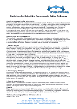 Guidelines for Submitting Specimens to Bridge Pathology