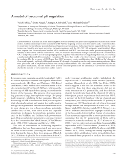 A model of lysosomal pH regulation