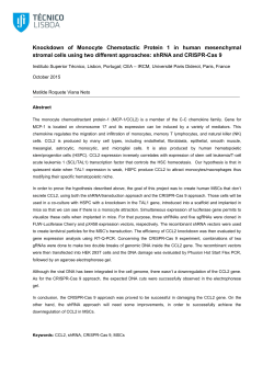 Knockdown of Monocyte Chemotactic Protein 1 in