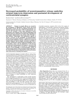 Decreased probability of neurotransmitter release underlies striatal