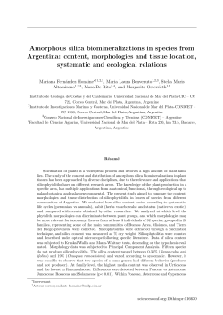 Amorphous silica biomineralizations in species from Argentina