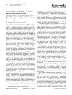 Shear Banding or Not in Entangled DNA Solutions
