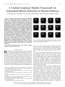 A Unified Graphical Models Framework for Automated Mitosis