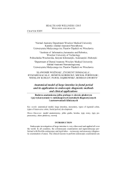 Anatomical model of large intestine in foetal period and its