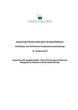 DELEGATION FOR RELATIONS WITH THE ARAB PENINSULA 3rd