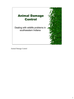 Animal Damage Control