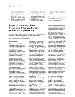 Legume Haemoglobins: Symbiotic Nitrogen Fixation Needs Bloody