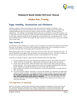Puppy Handling and Socialization