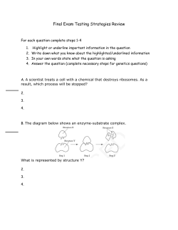 Final Exam Testing Strategies Review