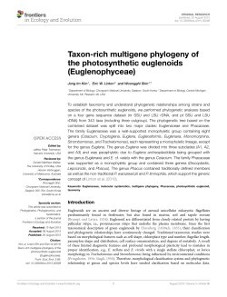 Taxon-rich multigene phylogeny of the photosynthetic euglenoids