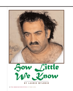 How Little We Know - Laurie Mylroie Homepage