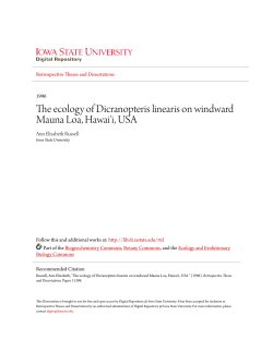 The ecology of Dicranopteris linearis on windward Mauna Loa