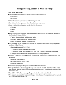 Biology of Fungi, Lecture 1: What are Fungi?