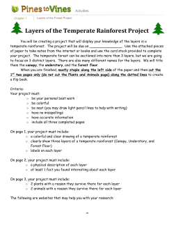 Layers of the Temperate Rainforest Project