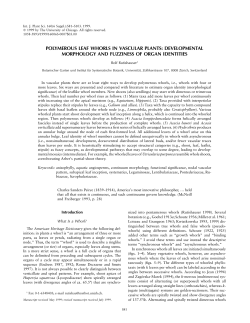 POLYMEROUS LEAF WHORLS IN VASCULAR PLANTS