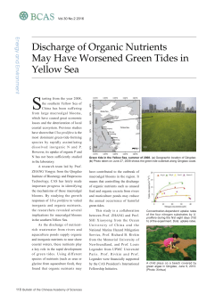 118 Discharge of Organic Nutrients May Have Worsened Green