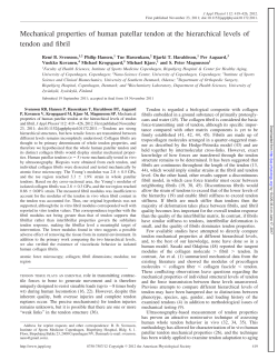 Mechanical properties of human patellar tendon at the hierarchical