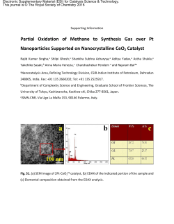 Partial Oxidation of Methane to Synthesis Gas over Pt Nanoparticles