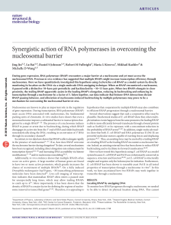 Synergistic action of RNA polymerases in overcoming