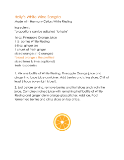 Holly`s White Wine Sangria