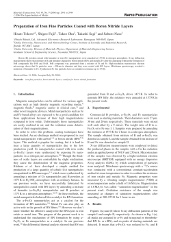 Preparation of Iron Fine Particles Coated with Boron Nitride Layers