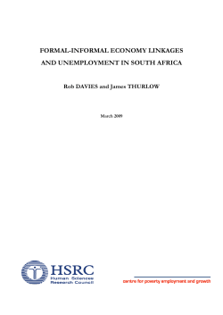 formal-informal economy linkages and unemployment in south africa