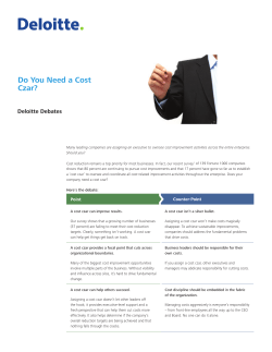 Do You Need a Cost Czar?