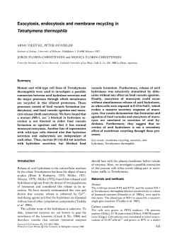 Exocytosis, endocytosis and membrane recycling