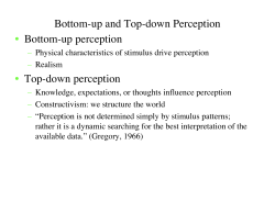 Bottom-up and Top-down Perception • Bottom-up