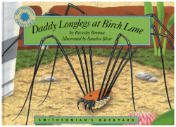 FREE pdf of Daddy Longlegs at Birch Lane