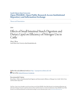 Effects of Small Intestinal Starch Digestion and