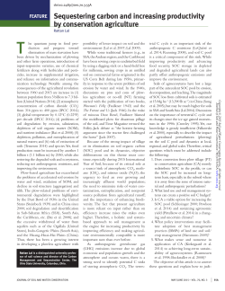 Sequestering carbon and increasing productivity by conservation
