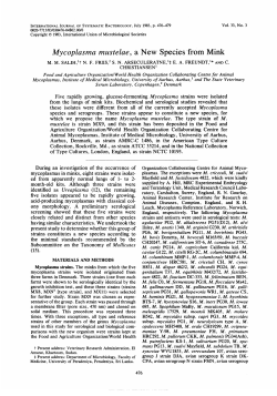 Mycoplasma mustelae, a New Species from Mink