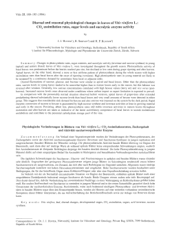 Diurnal and seasonal physiological changes in leaves of Vitis