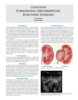 CHAPTER 89 Congenital Ureteropelvic Junction