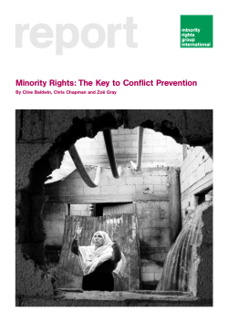 Download: Minority Rights: The Key to Conflict Prevention