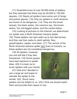 (11) Scientists know of over 30,000 kinds of spiders, but they