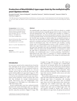 Production of Man5GlcNAc2‐type sugar chain by the methylotrophic