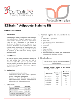 EZStain Adipocyte Staining Kit