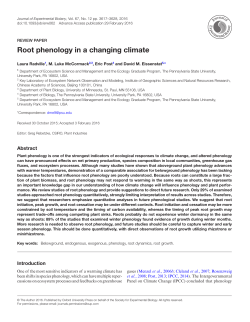 Root phenology in a changing climate