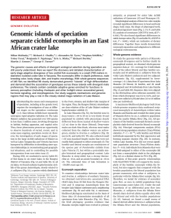 Genomic islands of speciation separate cichlid ecomorphs in an
