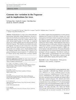 Genome size variation in the Fagaceae and its implications for trees
