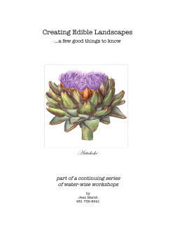 Creating Edible Landscapes Artichoke