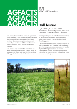 AGFACTS Tall fescue