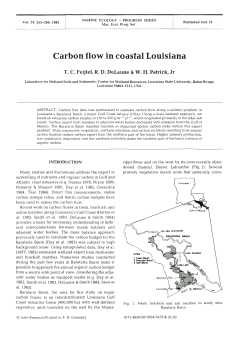 Carbon flow in coastal Louisiana