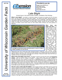 Late Blight Fact Sheet - Portage County UW-Extension