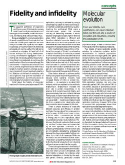 Fidelity and infidelity