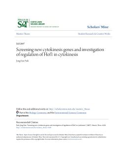 Screening new cytokinesis genes and investigation